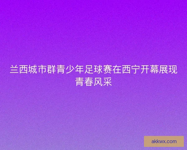 兰西城市群青少年足球赛在西宁开幕展现青春风采